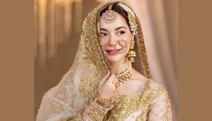 হানিয়া আমিরের বিয়ের গুঞ্জন